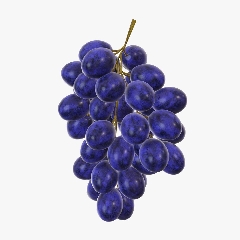 Grapes 04 3D model