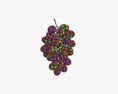 Grapes 04 3d model
