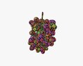 Grapes 05 3D модель
