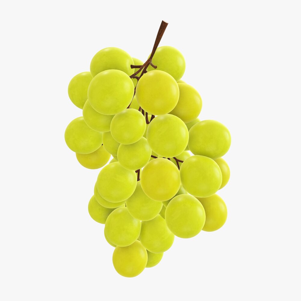 Grapes 06 3D model