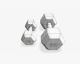 Hexagonal Rubberized Dumbbells 02 3Dモデル