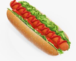 Hot Dog With Ketchup Salad Tomato Seeds Modèle 3D