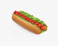 Hot Dog With Ketchup Salad Tomato Seeds Modello 3D
