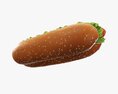 Hot Dog With Ketchup Salad Tomato Seeds 3d model