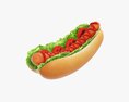 Hot Dog With Ketchup Salad Tomato V2 3D模型