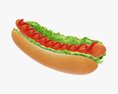 Hot Dog With Ketchup Salad Tomato V2 Modelo 3D