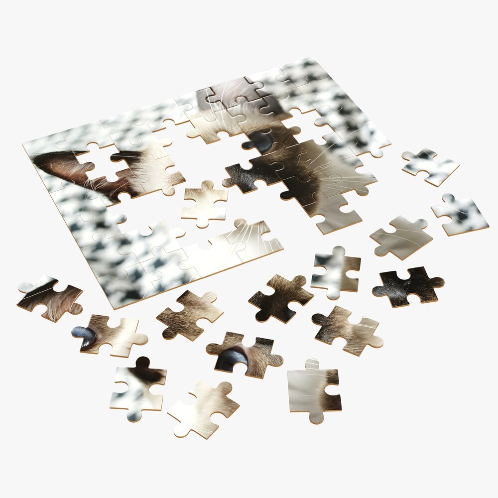 Jigsaw Puzzle 48 Pieces 3 3D модель