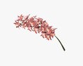 Orchid Branch With Flowers Modelo 3d