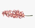 Orchid Branch With Flowers Modelo 3d