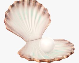 Pearl Inside Seashell 3D model