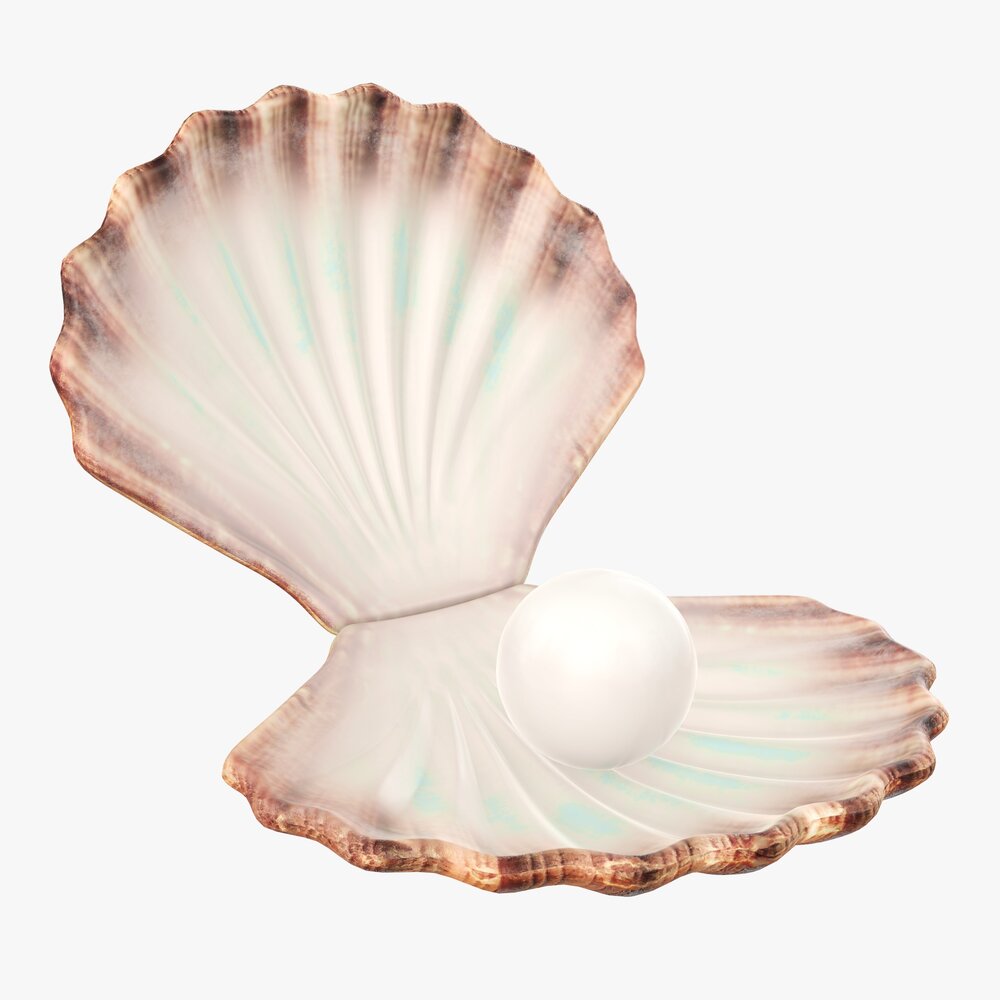 Pearl Inside Seashell Modelo 3D