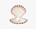 Pearl Inside Seashell Modèle 3d