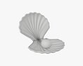 Pearl Inside Seashell 3D-Modell