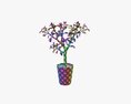 Plant Crassula In Flower Pot Modello 3D