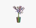 Plant Crassula In Flower Pot 3d model