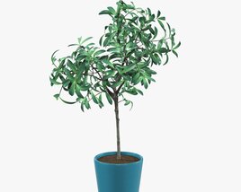 Potted Decorative Tree Modelo 3d