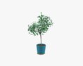 Potted Decorative Tree 3d model