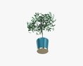 Potted Decorative Tree 3d model