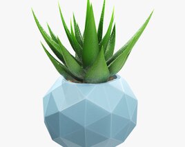 Succulent In Planter Pot Plant 01 3D-Modell