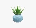 Succulent In Planter Pot Plant 01 3D-Modell
