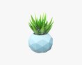 Succulent In Planter Pot Plant 01 3D модель