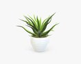 Succulent In Planter Pot Plant 02 3D модель