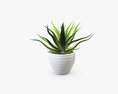 Succulent In Planter Pot Plant 02 3D-Modell