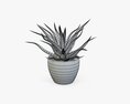 Succulent In Planter Pot Plant 02 3D 모델 