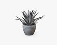Succulent In Planter Pot Plant 02 3D модель