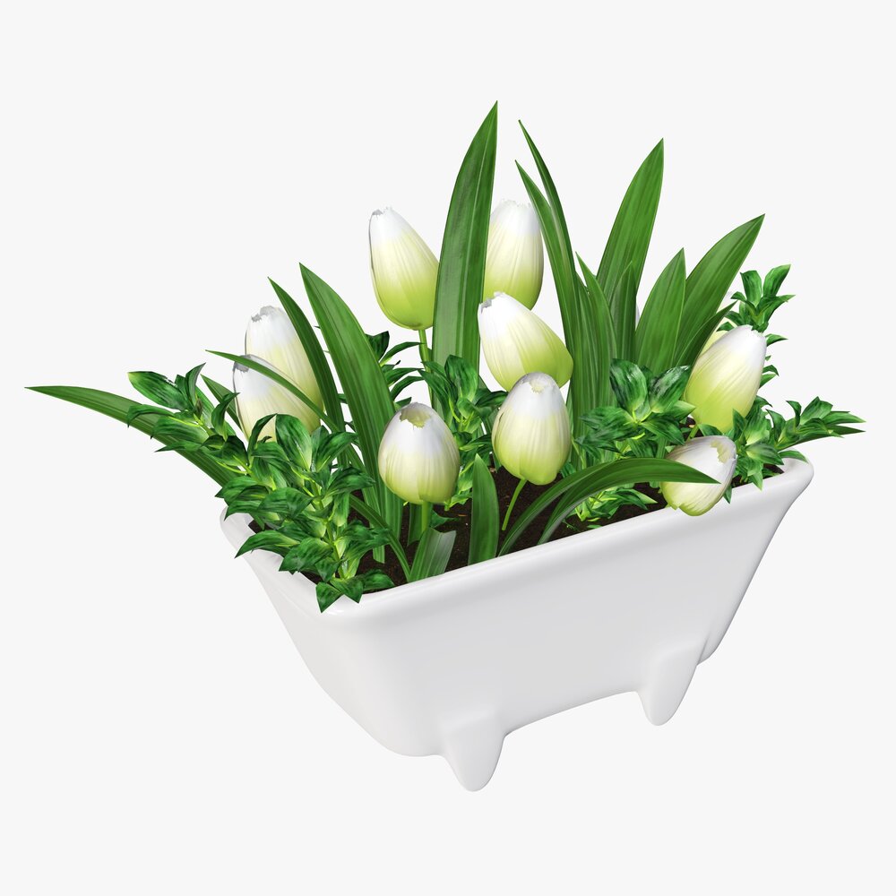 Tulip Composition In Bathtub Modèle 3D