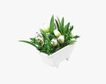 Tulip Composition In Bathtub Modello 3D