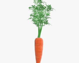 Carrot 02 Modelo 3d