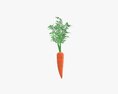 Carrot 02 3Dモデル