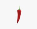 Chili Pepper 01 3Dモデル
