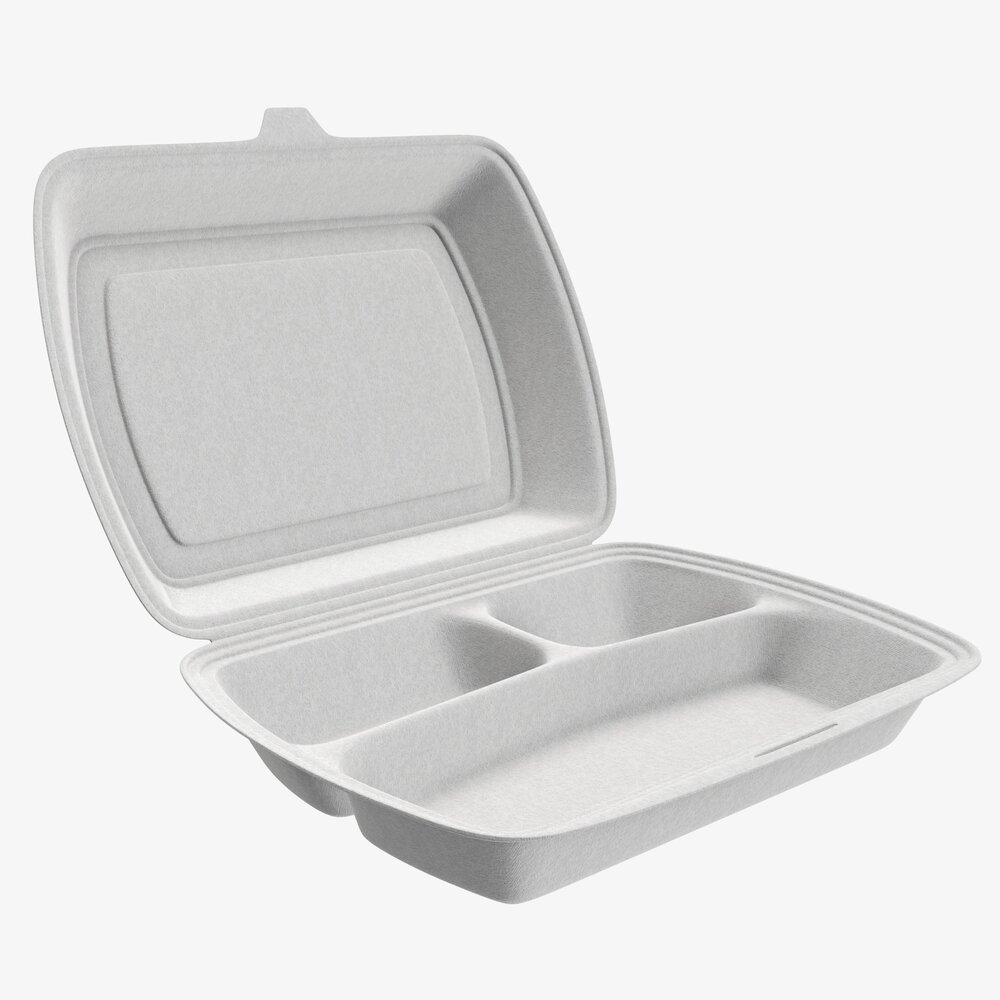 Take-out Lunch Polystyrene Box 02 3D model