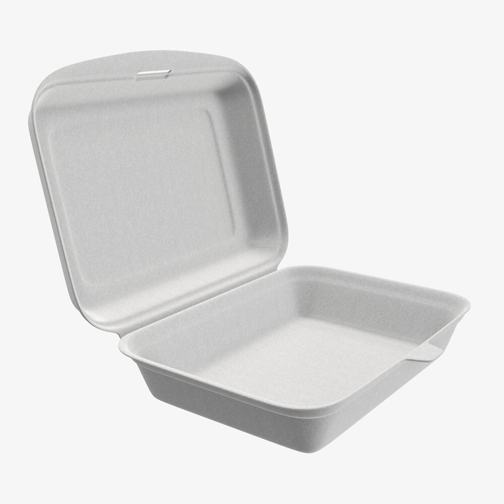 Take-out Lunch Polystyrene Box 03 3D model