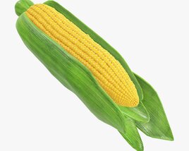 Corn With Leaves 3D model