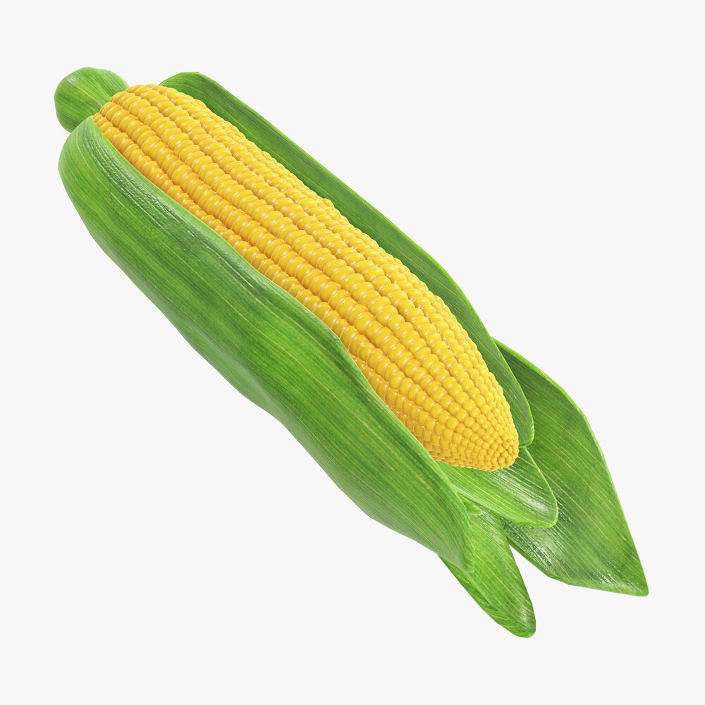 Corn With Leaves 3D model