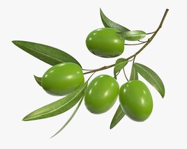 Olive Branch With Leaves 3D 모델 
