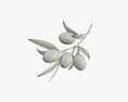 Olive Branch With Leaves 3D-Modell
