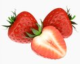 Strawberry Comp 3D-Modell