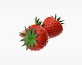 Strawberry Comp 3d model