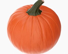 Pumpkin 3D 모델 