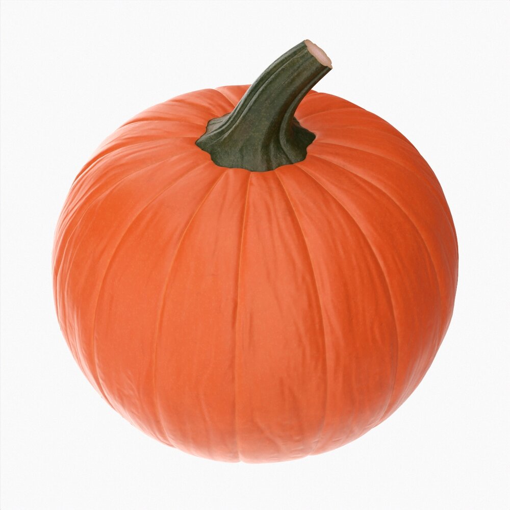 Pumpkin 3Dモデル