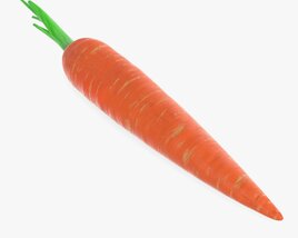 Carrot 01 3D模型