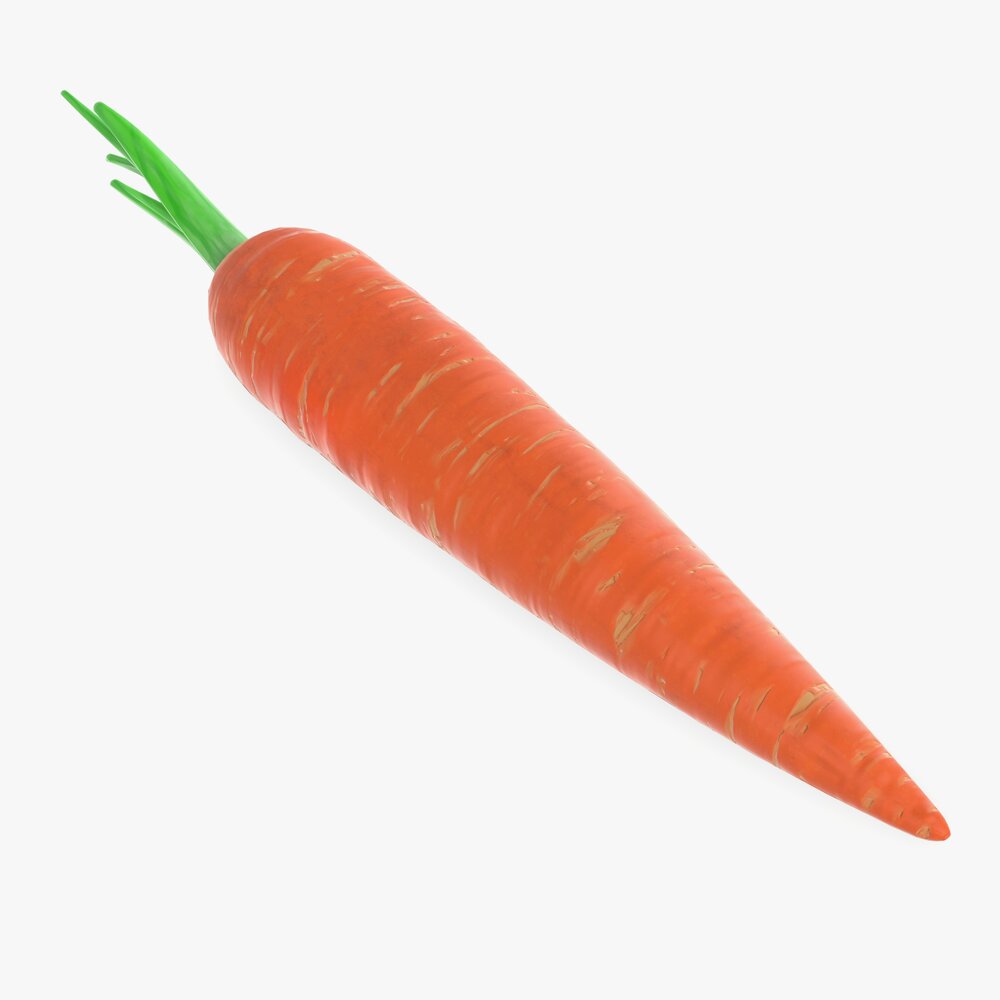Carrot 01 3D 모델 