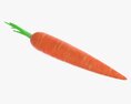 Carrot 01 3D 모델 