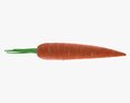 Carrot 01 3d model
