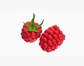 Raspberries Ripe 3d model