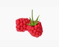 Raspberries Ripe 3D модель